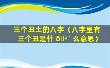 三个丑土的八字（八字里有三个丑是什 🪴 么意思）